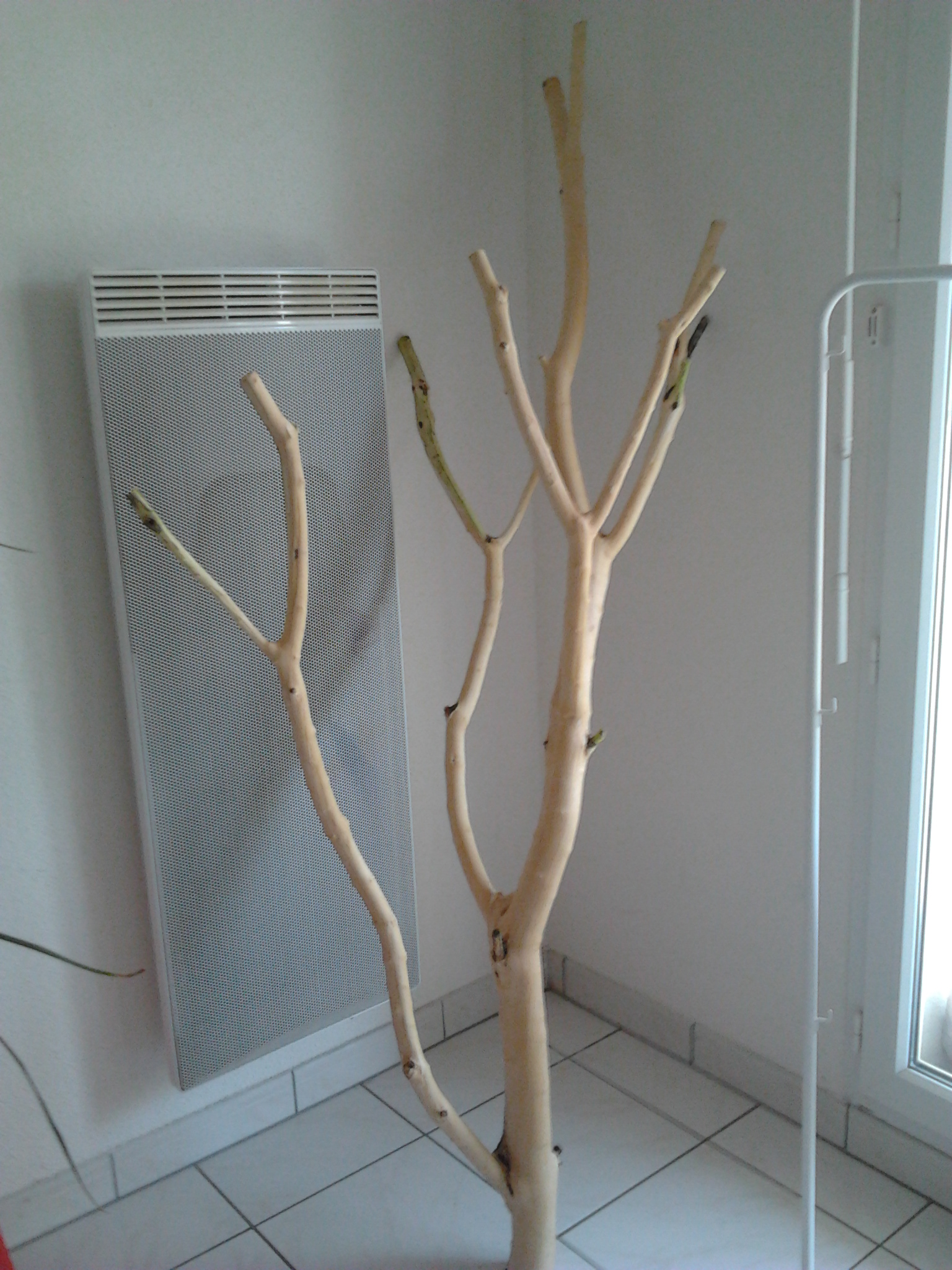 arbre a chat artisanal